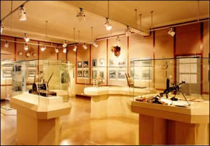 玻璃贴膜应用于博物馆
